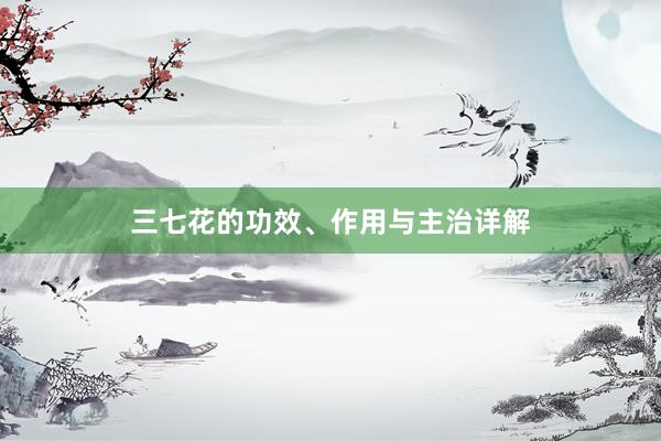 三七花的功效、作用与主治详解