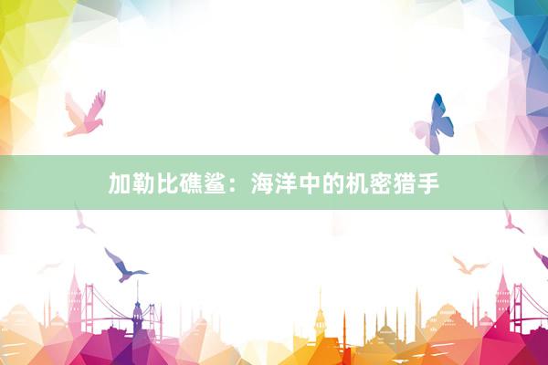 加勒比礁鲨：海洋中的机密猎手